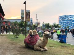 -华夏文旅海洋公园