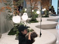 -帕帕拉兹宠物(亚洲旗舰店)