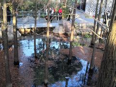 -梅峰山地公园
