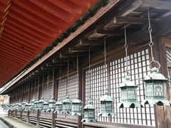 -奈良公园