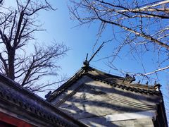 -阳台山自然风景区