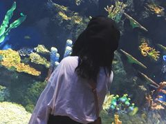 -华夏文旅西安度假区