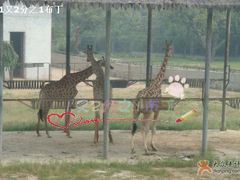 -西安秦岭野生动物园