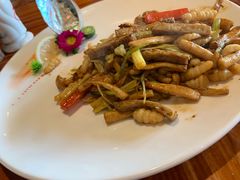 -顺德了能馆(虎门店)