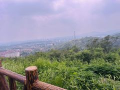 -白水寺森林公园