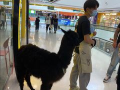 -万达茂商场(南京仙林店)