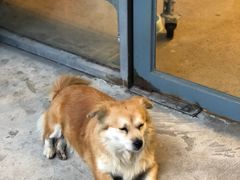 -微焙咖啡工厂(海峡创意产业园·红坊店)