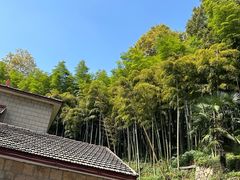 -莫干山风景区