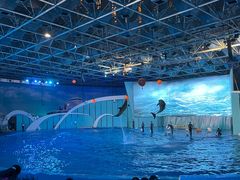 -海合安青岛极地海洋公园
