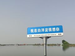 -白洋淀景区