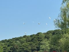 -沈阳森林动物园