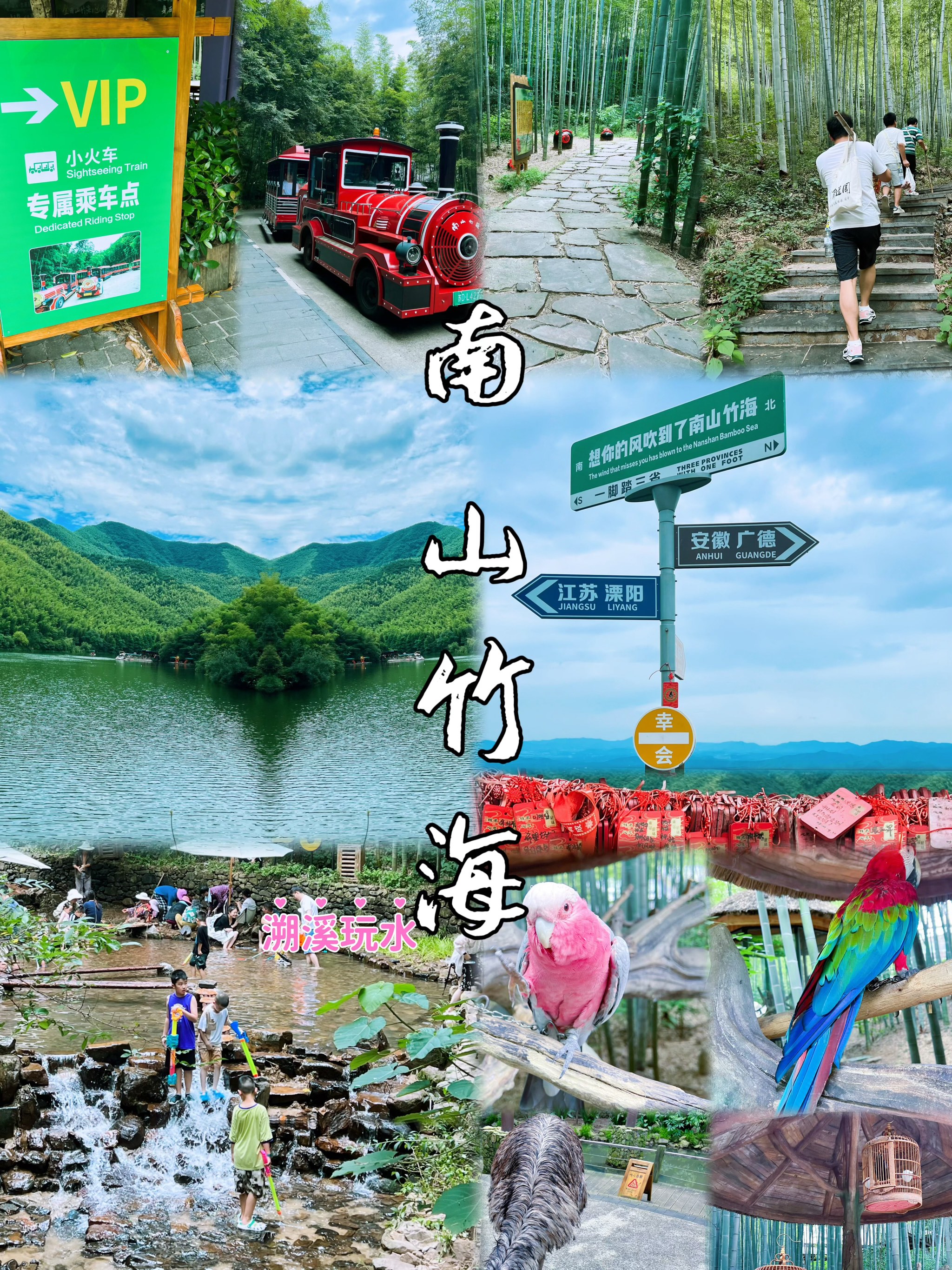 南山竹海门票图片