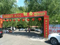 -可心烤鱼