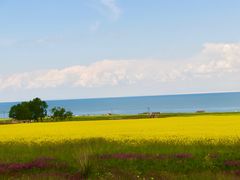 -青海湖国家重点风景名胜区