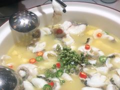 -青花椒花椒鱼(合生汇店)