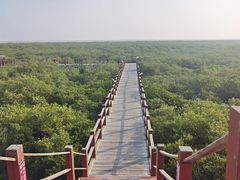 -北海金海湾红树林生态旅游区