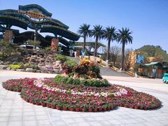 -苏州乐园森林水世界