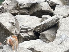 -叠溪松坪沟景区