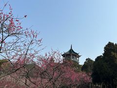 -无锡梅园公园