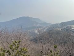 -定都阁