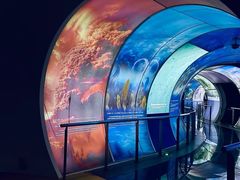 -房山世界地质公园博物馆