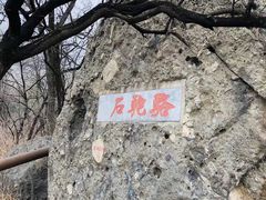 -阳台山自然风景区