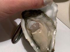 -Oyster Talks 四度蚝法餐厅