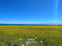 -青海湖国家重点风景名胜区