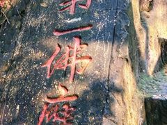 -大金鹰园