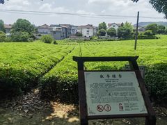 -敬亭山风景名胜区