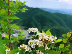 -妙峰山风景名胜区