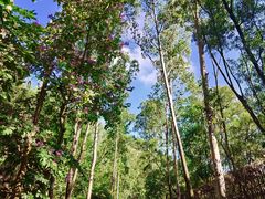 -李记热干面· 襄阳牛肉面