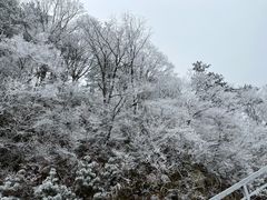 -大别山南武当滑雪场