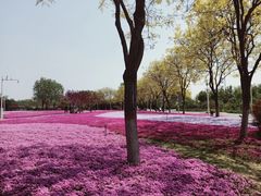-石家庄市植物园