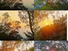 -梧桐山风景名胜区