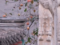 -北京石刻艺术博物馆