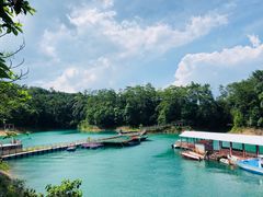 -广州市流溪河国家森林公园