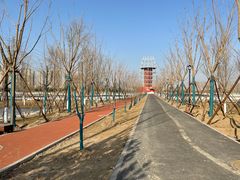 -永定河休闲森林公园