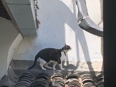 -猫的天空之城概念书店(杭州南宋御街店)