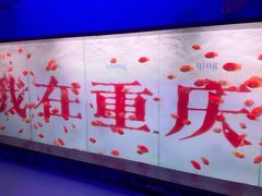 -重庆欢乐海底世界