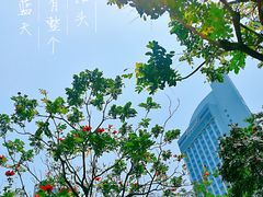 -十碗(保利店)