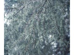 -白塘生态植物园