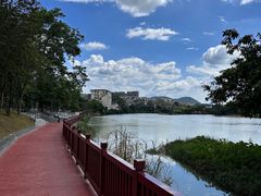 -广州市流溪河国家森林公园