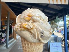 -Dooley's Premium Ice Cream