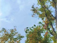 -上海山野camping·户外天幕烧烤·团建拓展营地