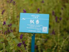 -世间香境·七溪地