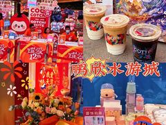 -鹏欣水游城