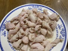 -老爆肚满五香烧牛羊肉