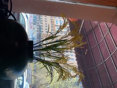 -同喜烤鸭店(光芒店)