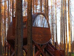 -黄海国家森林公园